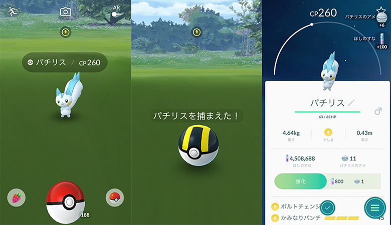ポケモン go パチリス 野生 捕獲
