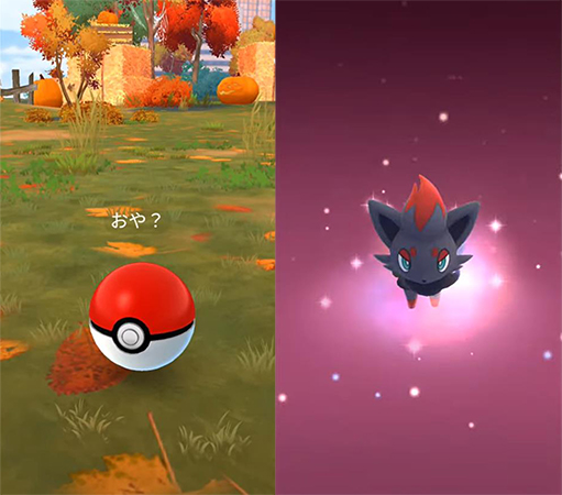 ポケモン go ゾロア 入手