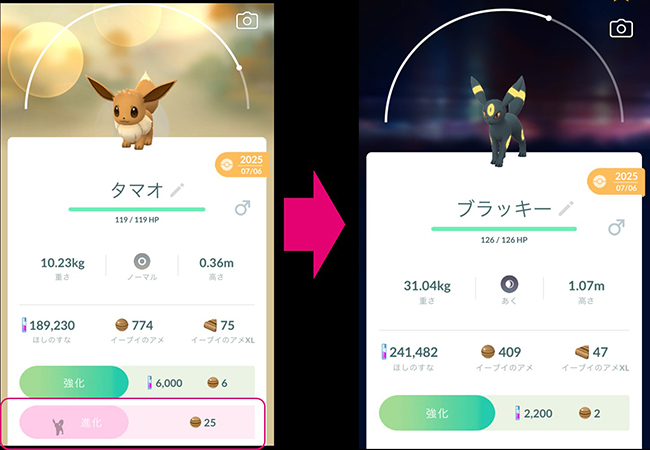 ポケモン go ブラッキー 進化