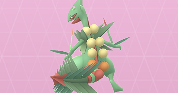 ポケモンGOグラードン　メガジュカイン