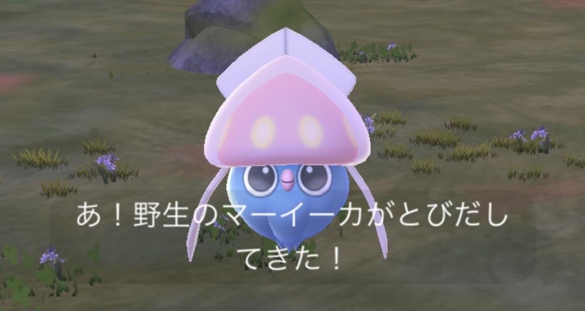 ポケモンGO 野生マーイーカ