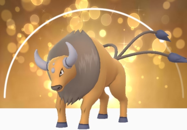 ポケモンGOのケンタロス