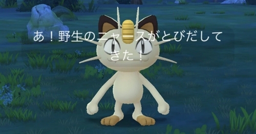 野生のニャース