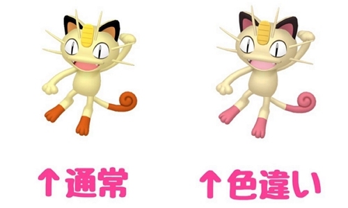 色違いニャース