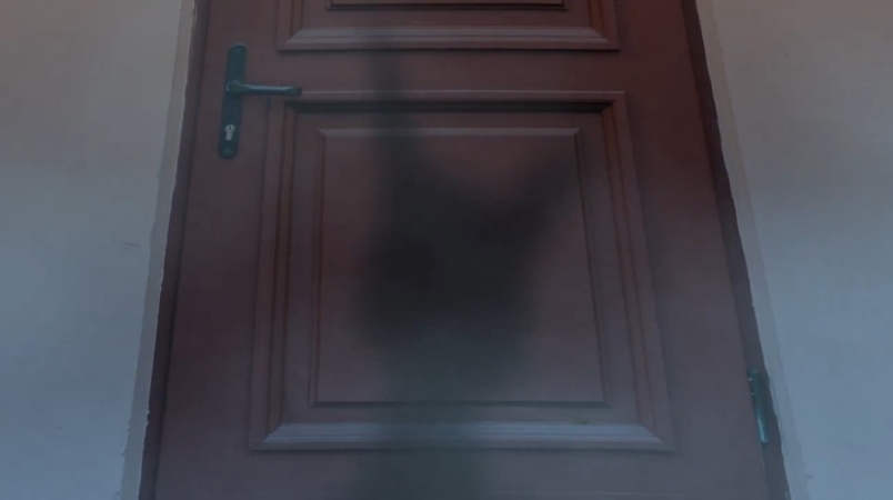 ポケモンGOのミミッキュ実装