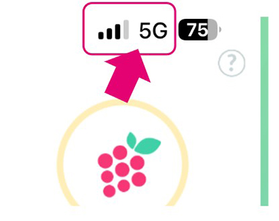 ポケモンgo iPhoneの通信ステータス