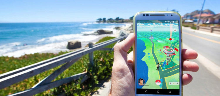 Pokemon Go On The Go