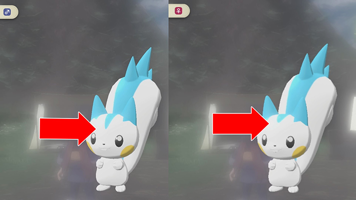 ポケモン go パチリス オスとメス