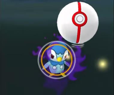 ポケモンgo シャドウ ポッチャマ