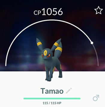 月亮伊布進化改名