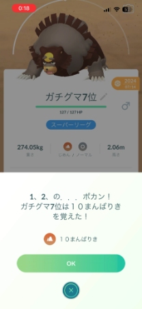 すごいわざマシンで技を習得