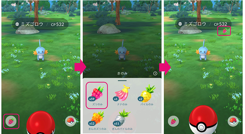 ズリのみ ポケモン捕獲