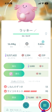 ポケモンの個別画面から道具を選択
