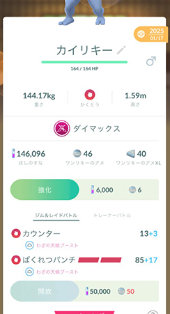 ポケモンgo 天候ブースト カイリキー