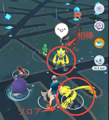 ポケモン go 相棒に化けたゾロア