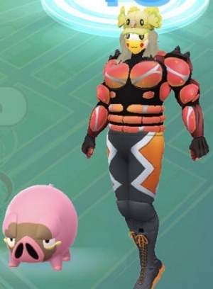 ポケモンが表示されない