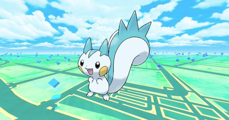 Pokemon fofo Pachirisu