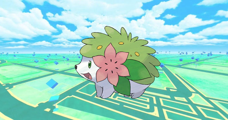 Pokemon fofo Shaymin