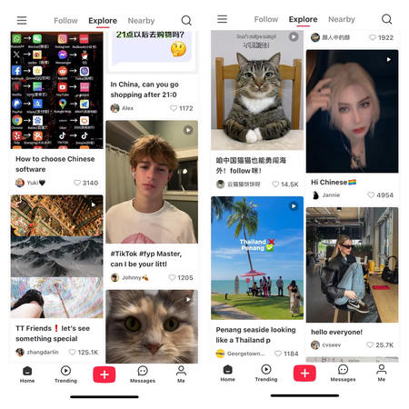 rednote-funny-content