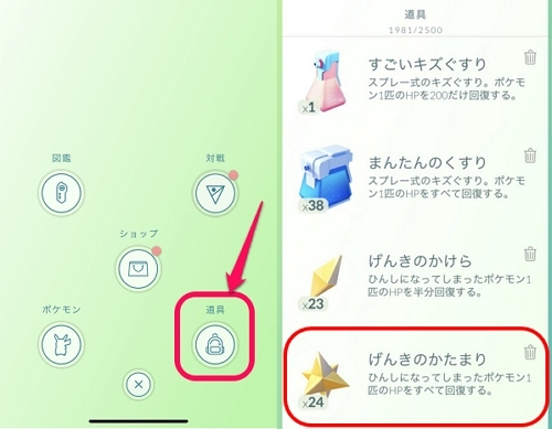 道具「げんきのかたまり」を選択