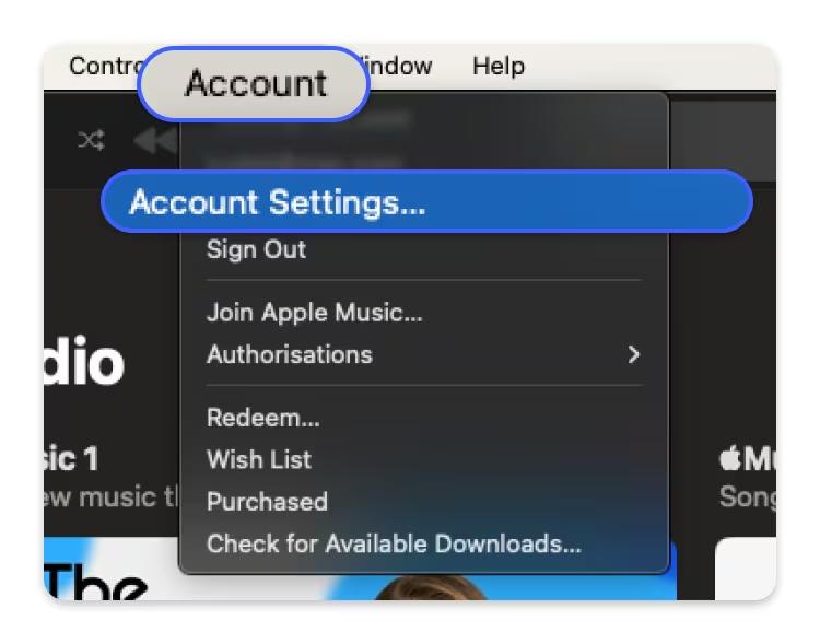 select the account settings option