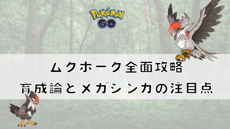 ポケモンGOのムクホーク