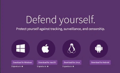 tor web browser