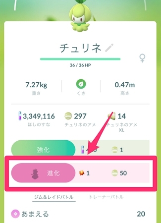 たいようのいしの使い方