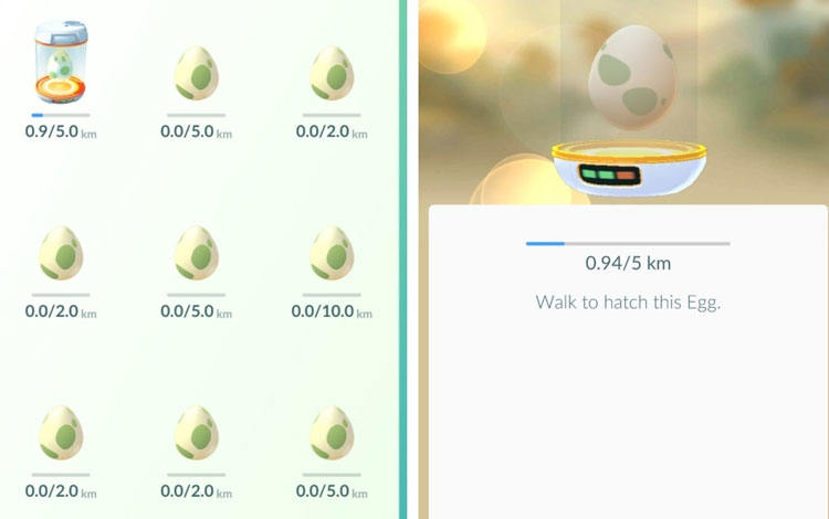 walk to hatch egg