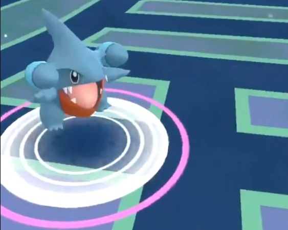 ポケモンGO フカマル野生出現
