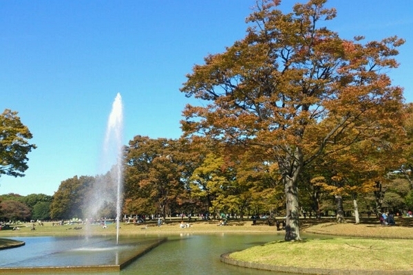 代々木公園