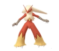 けんのおう対策ポケモンバシャーモ